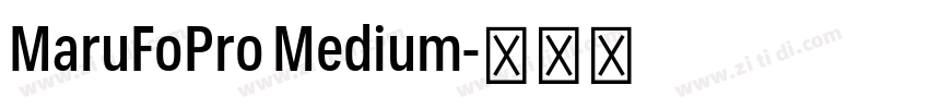MaruFoPro Medium字体转换